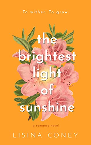 the brightest light of sunshine book cover