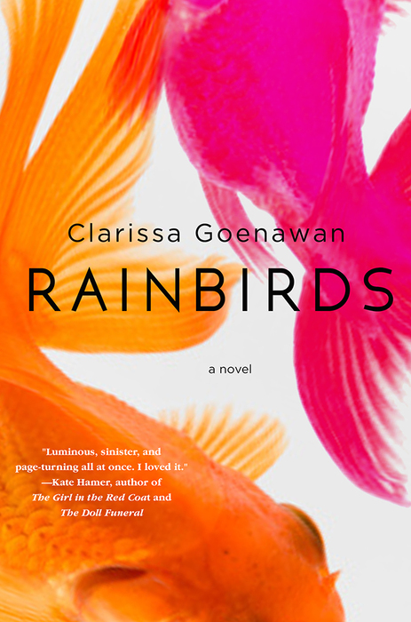 rainbirds book cover