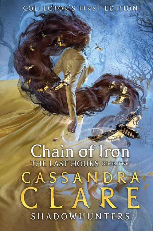 chain of iron book cover
