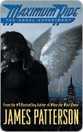 the angel experiment book cover