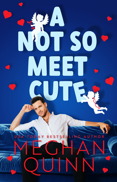 a not so meet cute book cover