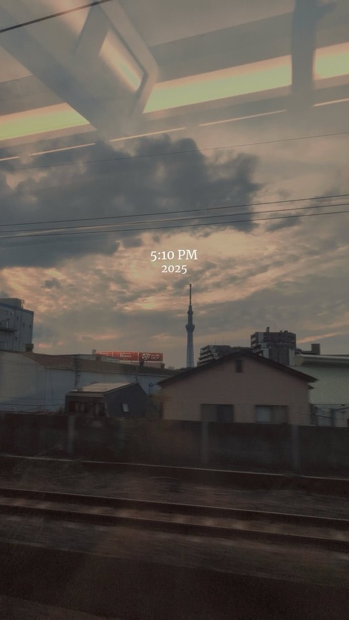 view from the narita express in japan