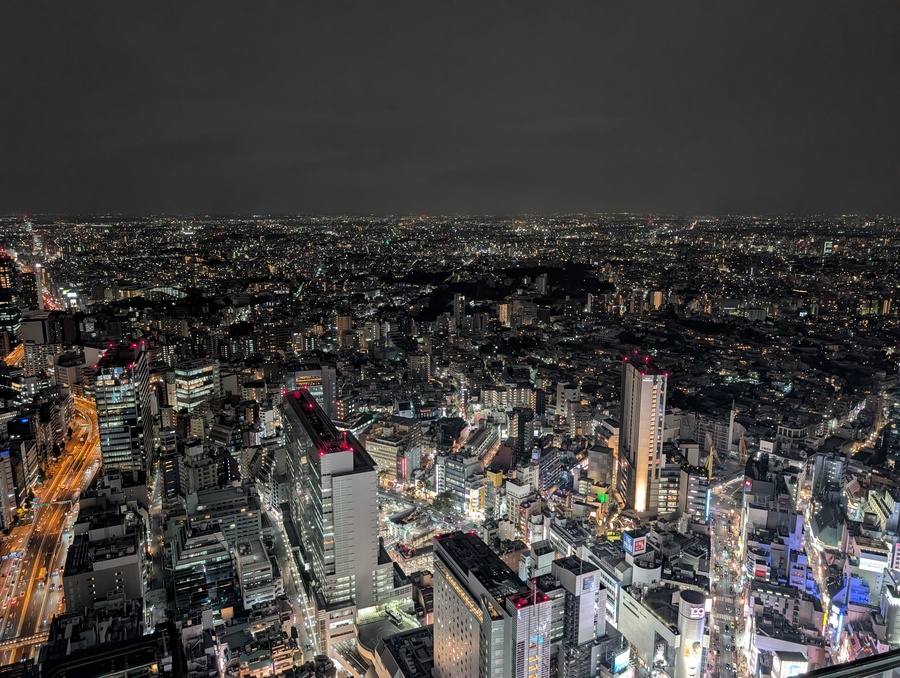 view from Shibuya Sky